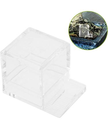 BESPORTBLE 3pcs Pet Water Feeder Water Bowl for Ants Insect Water Feeder Ants Water Bowl Ants Feeder Plastic 1 count (Pack of 1) - Buy Online on SooperMarket.com