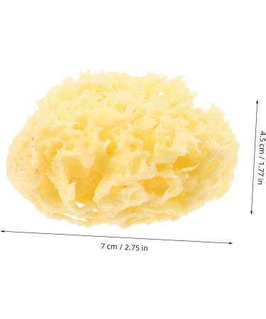 Gogogmee Moisturizer Natural Sponges for Bathing Natural Bath Sponge Sea Sponges for Shower Body Sponges Sponge for Shower Bathing Sponge Natural Sponges for Body Shower Sponge - Buy Online on SooperMarket.com