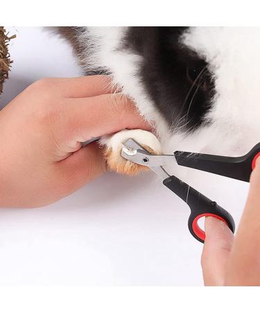 Professional Rabbit Nail Clippers: Stainless Steel Claw Trimmer for Small Animals - Guinea Pig, Ferret, Hamsters, Chinchilla, Sugar Glider - Grooming Supplies - Black - Buy Online on SooperMarket.com