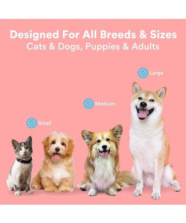Pack of 4 Finger Toothbrushes for Dogs - Dental Care for Small Medium & Large Breeds - Buy Online on SooperMarket.com