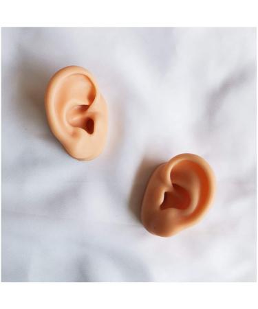 Simulation Ear Template - Flexible Silicone Silicone Ear Model for Acupuncture Picking Ear Picking Soft Props Earrings Right - Buy Online on SooperMarket.com