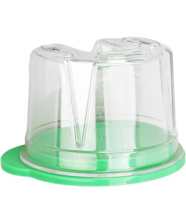 Herchr Prosthesis Case | Plastic Storage Box for False Teeth & Agar Replication Models | International Shipping - Buy Online on SooperMarket.com
