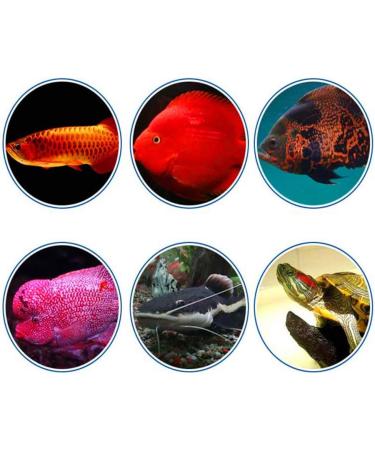 Tropical Fish Foods BMBN Aquarium Tropical Fish Foods Freeze Dried Shrimp Healthy Cichlid Turtle Feeding Reptile Turtle Arowana Dried Foods - Buy Online on SooperMarket.com