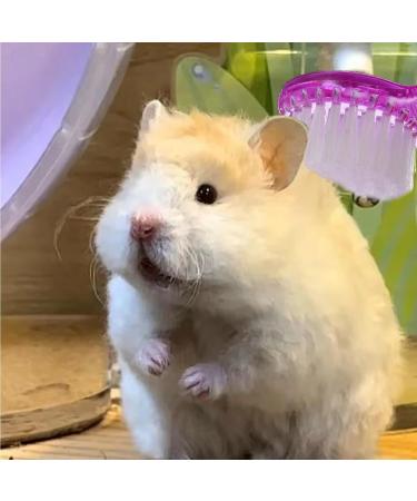 JNAWA 3 Pieces Pet Hair Comb Cleaning Pet Grooming Brushes Pet Bathing Brush Hamster Brushes Nail Cleaner for Guinea Pig Chinchilla Ferret - Buy Online on SooperMarket.com