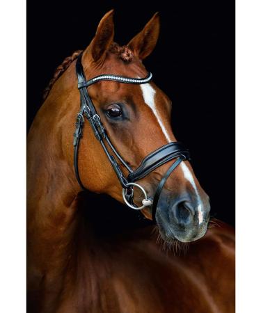 Schockem hle Malibu Anatomic Snaffle Bridle Black for Thoroughbreds - Premium Quality Equestrian Gear Worldwide Shipping - Buy Online on SooperMarket.com