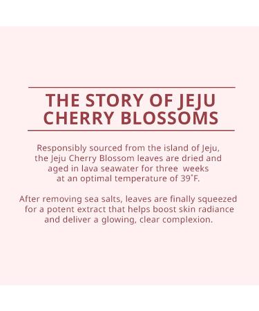 innisfree Cherry Blossom Dewy Glow Jam Cleanser - 5.29 Fl Oz (Pack of 1) - Buy Online on SooperMarket.com