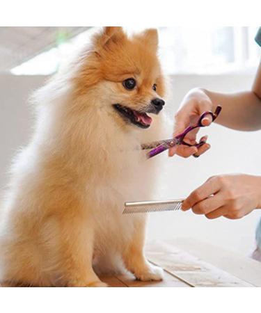 JdXun 1 Piece Pet Comb | Stainless Steel Dog & Cat Comb for Knots & Tangles | Best Pet Care Tool (19x3.3cm) - Buy Online on SooperMarket.com