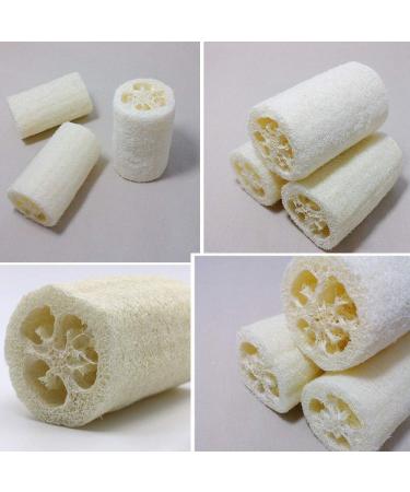 MAYMIIHOME 100% Natural Organic Loofahs 6 Pack - Exfoliating Spa Scrubber for Body Wash - Removes Dead Skin, Made with Organic Luffa - Buy Online on SooperMarket.com