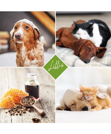 Lillis Naturals Dog Shampoo with Natural Herbs - 500ml for Skin & Coat Care | International Shipping - Buy Online on SooperMarket.com