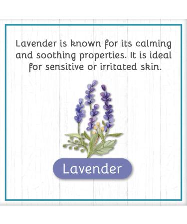 Brooke & Nora Daisy's Goat Milk Laundry Soap - Lavender Scent 96 Loads (48 oz) | Eco-Friendly International Shipping - Buy Online on SooperMarket.com