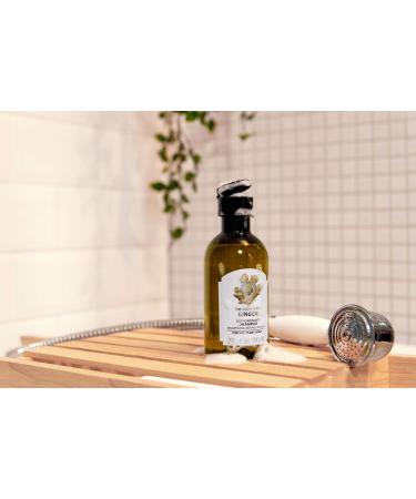 The Body Shop Ginger Shampoo 250ml - Pack of 1 - Buy Online on SooperMarket.com