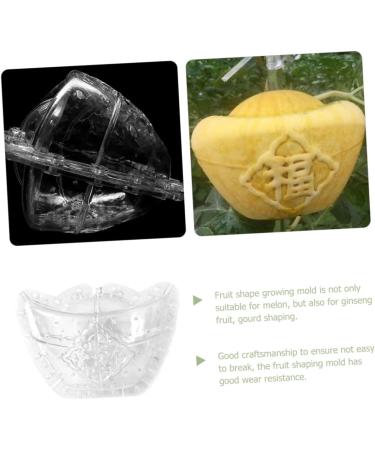 GANAZONO 4pcs Clear Fruit Mini Watermelon Plastic Fruit Square Mold Small Fruit Mold Ginseng Tool Pumpkin - Buy Online on SooperMarket.com