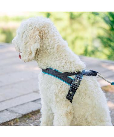 Nobby Norwegian Harness Mesh Preno - Pink Adjustable L: 38-50 cm 20/25 mm Pack of 6 - Lightweight & Comfortable - Buy Online on SooperMarket.com