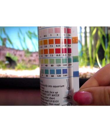 API Freshwater Master Test Kit Kit includes laminated color card 4 test tubes & holding tray - Buy Online on SooperMarket.com