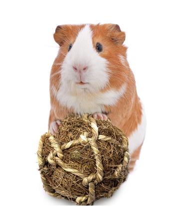 SunGrow Guinea Pig Coconut Fiber Balls, Improves Dental Health, Environment Friendly, Stress Reliever, Ideal for Chew Toy for Rabbits, Chinchilla & Kitten 2" (1 Piece)