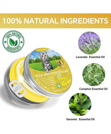 YOTANGO Cat Collar Repellent 1 Pack Cat Collar-Built-in Pant-Based Formula Strong Repellency Slow Release Pleasant Aroma Waterproof (Yellow) - Buy Online on SooperMarket.com