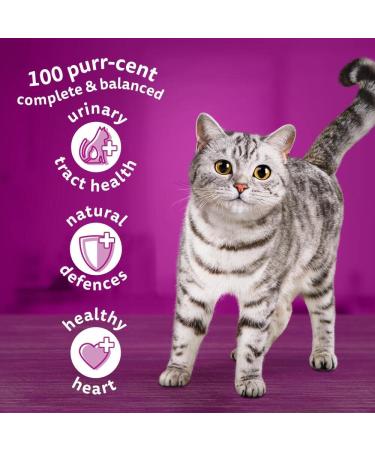 Whiskas 7+ Senior Chicken 4 x 1.9 kg Bags Senior Dry Cat Food 1.9 kg (Pack of 4) - Buy Online on SooperMarket.com