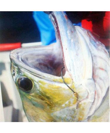 Fishing Hook with Leader 5 Hooks Fishing Rig - 7 Strands Nylon Coated Leader | Swivel Snap Hooks | 18# 1 Hook Rig - Buy Online on SooperMarket.com