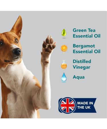 Pet Odour Eliminator: All-Natural Dog & Cat Urine Cleaner - 1 Litre - Buy Online on SooperMarket.com