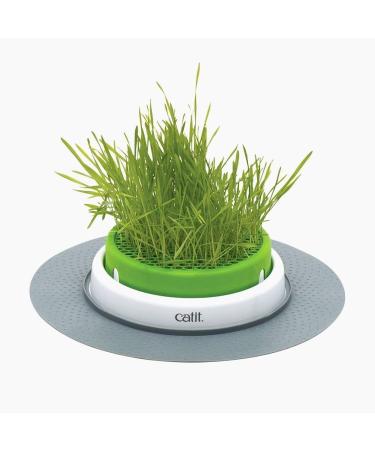 Catit Play Track Super - Ultimate Super Circuit & Grass Planter for Cats | International Shipping - Buy Online on SooperMarket.com