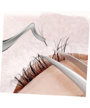 Buy NOLITOY Eyelash Curler & Eyebrow Curler - Stainless Steel Makeup Tools for Perfect Lashes & Easy Application - Shop Internationally - Buy Online on SooperMarket.com