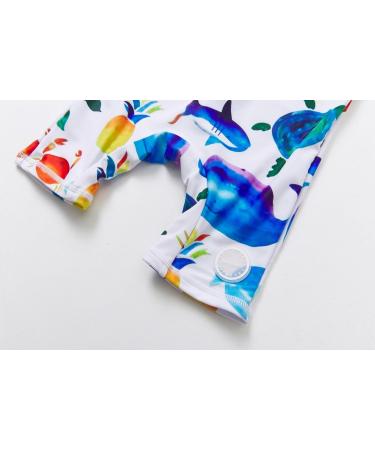 BONVERANO Baby Boy All-in-One Swimsuit/Sunsuit UPF 50+ Sun Protection with Cap, 18-24 Months - White Fish - Buy Online on SooperMarket.com