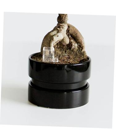 HAPINARY 3pcs Mini Liquid Feeder Ants Water Feeding Clear Ants Feeder Plastic Insect Feeder - Buy Online on SooperMarket.com