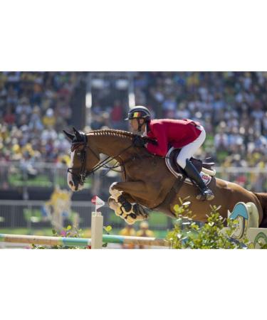 Compositi Plastic Reflex Stirrup - Flexible Wide Tread Black/Red for Equine Performance - Buy Online on SooperMarket.com