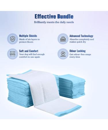BACTIM Puppy Pads Pack of 50 Super Absorbent Disposable Dog and Puppy Training Pads (60 x 45cm) Multi Layered Leakproof Odour Locking Toilet Trainer Pee Mat for Small to Large Size Pet Incontinence - Buy Online on SooperMarket.com