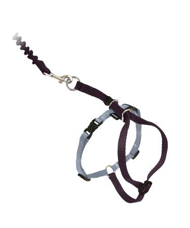 PetSafe Come with Me Kitty Harness and Bungee Leash Harness for Cats Large Black/Silver Black / Beige Large