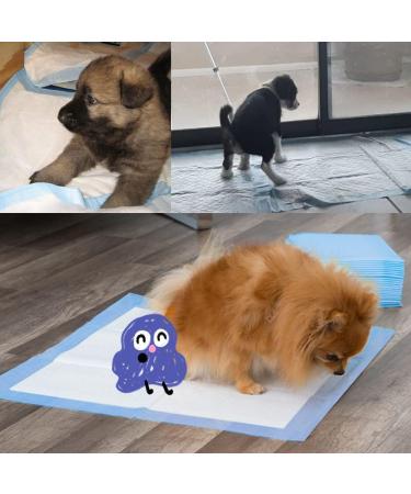 40 Count Dog Training Pads Extra Large Puppy Pads Disposable Absorbent & Leak-Proof XL Pet Pee Pads Housebreaking Supplies for Large Dogs Puppies Cats Rabbits and Kids - 36x32 Inch Blue - Buy Online on SooperMarket.com