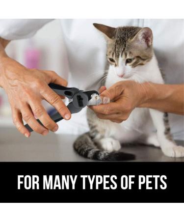 Professional Pet Nail Clippers and File - Stainless Steel - Safety Guard - Comfort Handle - Dog and Cat Trimmer - Large Gray - Buy Online on SooperMarket.com