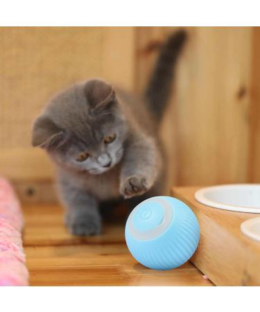 2PCs Power Ball 2.0 Cat Toy - Interactive Rotating 360 Automatic Cat Toy for Fun & Exercise | Aiveys - Buy Online on SooperMarket.com