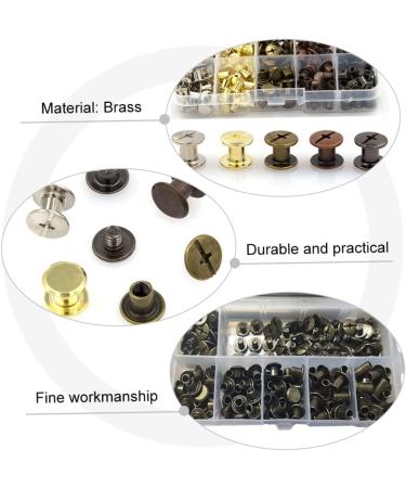 EXCEART 100 Sets Lash Rivet Boxed Diy Crafts Brass Rivets Double- Sided Rivets Diy Studs Self Made Component Assorted Color 0.8x0.8cm - Buy Online on SooperMarket.com