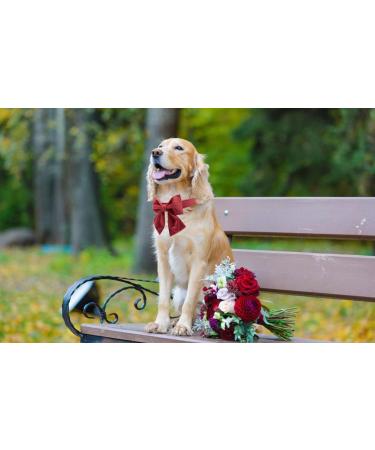Lionet Paws Bowtie Dog Halison - Comfortable Silk Collar with Removable Fly for Medium Dogs (Neck 34-55cm) - Red - 1 Pack - Buy Online on SooperMarket.com