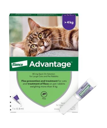 Advantage 80 Flea Spot On Treatment For Large Cats & Rabbits 1 Pipette 0.8ml 4kg