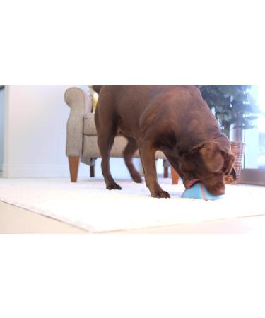 Chuckit! Indoor Super Slider Dog Fetch Toy with Squeaker for Interactive Play - Buy Online on SooperMarket.com