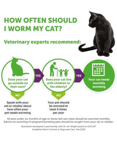 Dronspot Spot On Wormer for Small Cats - 0.5 to 2.5kg - 2 pipettes 2 pipettes Small Cats (0.5-2.5kg) - Buy Online on SooperMarket.com
