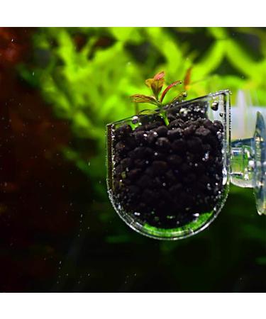 Pssopp Aquarium Red Worm Fish Feeder Transparent Suction Cup Fish Tank Feeding Cup Food Container for Feeding Shrimp Fish Acrylic Crack Cup
