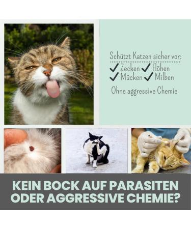 Noms Zpot-On Tick Repellent for Cats | Annual Supply with Natural Ingredients | Effective Against Ticks Mites Fleas & Sand Flies - Buy Online on SooperMarket.com