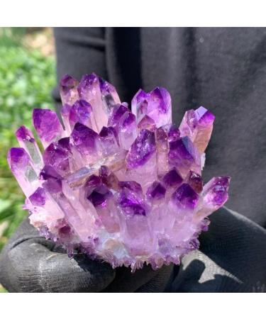 Purpl Phantom Quartz Crystal Cluster Specimen 400g Suitable for Home HOMEZHOU - Buy Online on SooperMarket.com