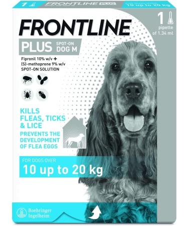 Frontline Plus For Dogs 10-20kg - 1 Pipette Flea And Tick Treatment For Dogs Frontline Flea Treatment For Dogs Frontline Spot On For Dogs Frontline For Dogs