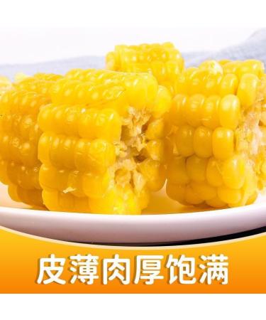 Delicious yellow glutinous corn stick sweet corn fresh corn vegetable snacks nutritious breakfast Coarse grains cereal Dim sum dessert sweets Chinese snack gift pack convenience food (8 bags) - Buy Online on SooperMarket.com