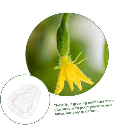 GANAZONO 9 Pcs Vegetable Mold Fruit Shaper Planting Vegetable DIY Cucumber Watermelon 9x8cmx3pcs Transparentx3pcs - Buy Online on SooperMarket.com