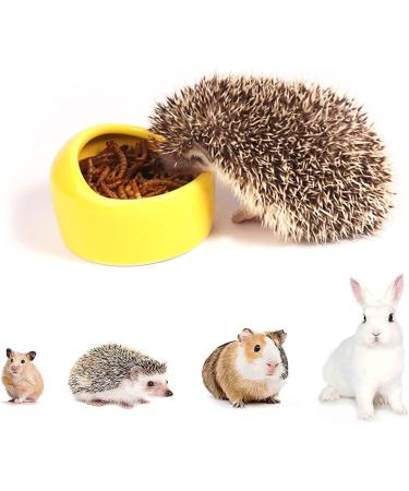 Ceramic Hamster Food Bowl DBAILY 3PCS Hamster Feeding Bowls Eating Basin Feeder Hedgehog Feeder Water Bowl Dish Holder for Guinea Pig Rodent Rat Gerbil Cavy - Buy Online on SooperMarket.com