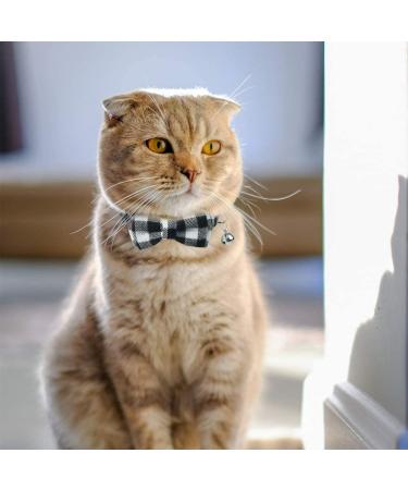 Dynmeow Plaid Pattern Cat and Dog Collar with Bowtie - Adjustable, Comfortable Boy or Girl Gift - XX-Small, Black - Buy Online on SooperMarket.com