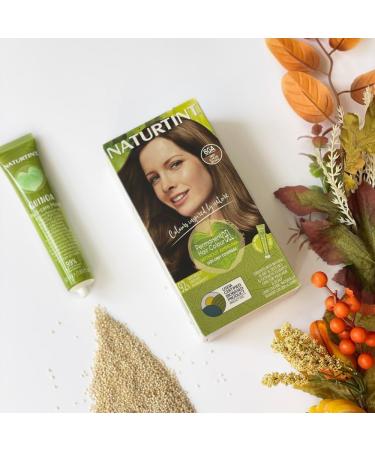 Naturtint 6GA Deep Almond Brown Hair Colour: Ammonia-Free, Grey Coverage, Plant Enriched - Buy Online on SooperMarket.com