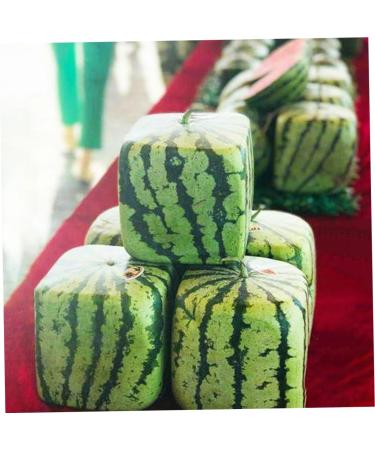 Uonlytech Watermelon Shaping Fruit Tools Pumpkin Growing Molds for Garden Vegetable Shaping Tool Watermelon Modeling Big Rod 15x15cm Transparent - Buy Online on SooperMarket.com