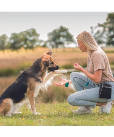 Trixie Hundeleckerli Premio Chicken Filets 1kg - Gluten-Free Grain-Free Dog Treats for Training & Rewards - Buy Online on SooperMarket.com