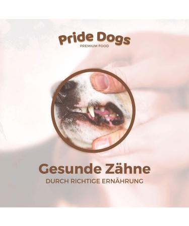 Premium Rabbit Ears Chew Snack for Dogs - 1000g | 100% German Made | Odorless Bag - PrideDogs - Buy Online on SooperMarket.com